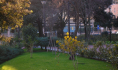 Manutenzione giardini. Piazza Italia