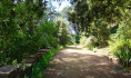 Manutenzione giardini. Castello Sant'Onofrio: giardino storico