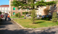 Manutenzione giardini. Azienda Sanitaria Locale (ospedale vecchio)