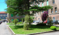 Manutenzione giardini. Azienda Sanitaria Locale (ospedale vecchio)