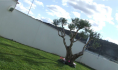 Realizzazioni. Giardini