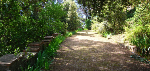 Viale interno