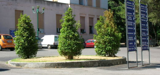Aiuola dopo la prima rasatura