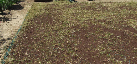 Distribuzione topsoil per riempimento spazi vuoti