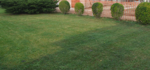 Trattamento antimuschio con utilizzo di tracciante