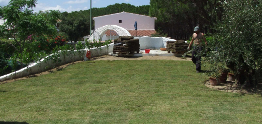 Messa a dimora zolle