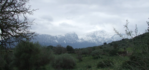 Panorama
